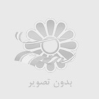 خرید تخمه آفتابگردان تازه و شور